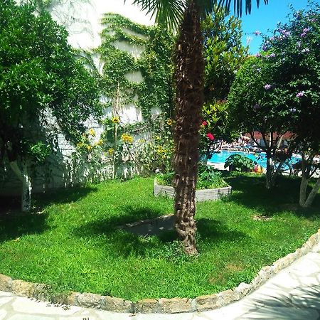 פפקוהורי Pelli Hotel מראה חיצוני תמונה